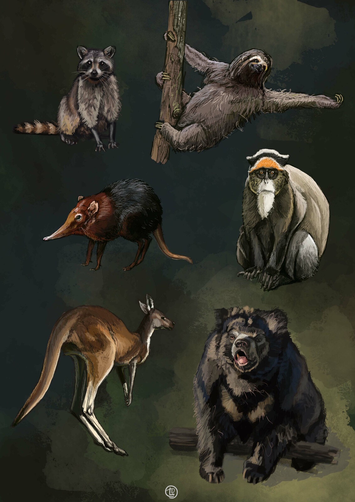 Mammal plantigrades
