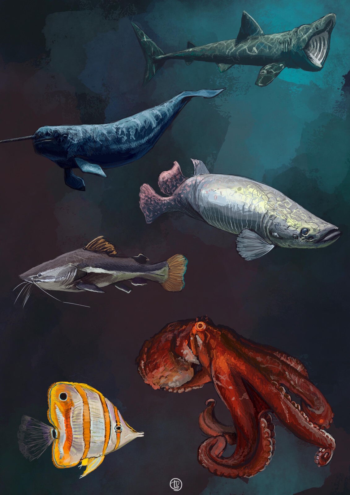 Sea life