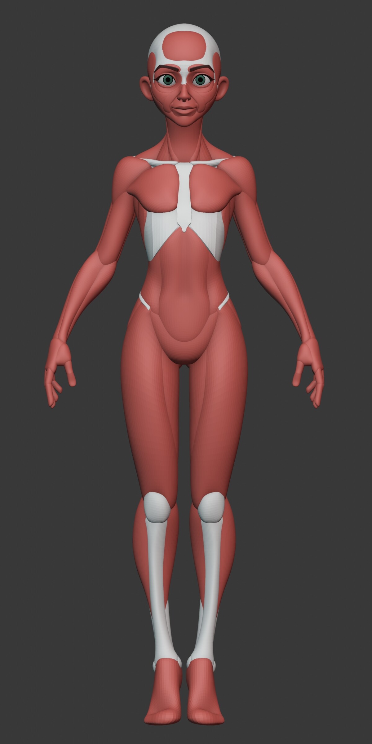 George Zaky - Stylized Female Anatomy