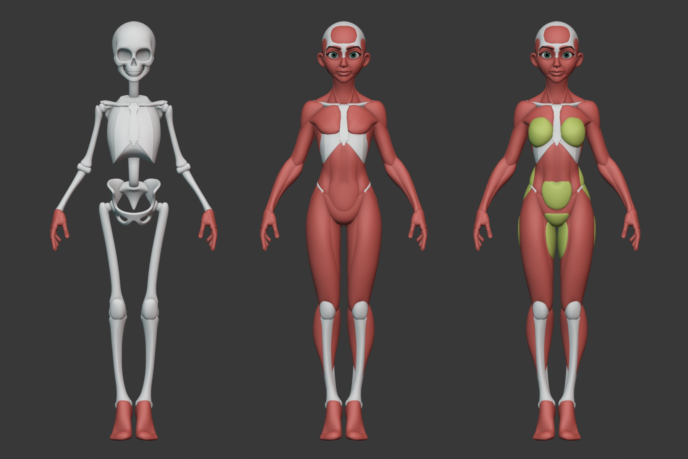 George Zaky - Stylized Female Anatomy