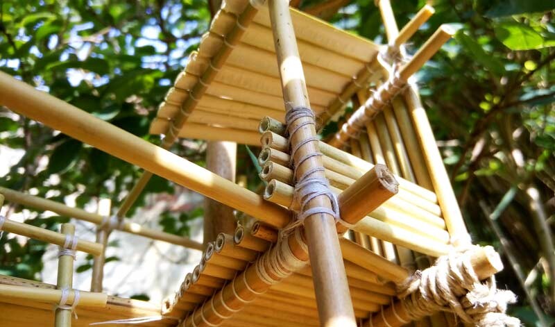 lightailing treehouse