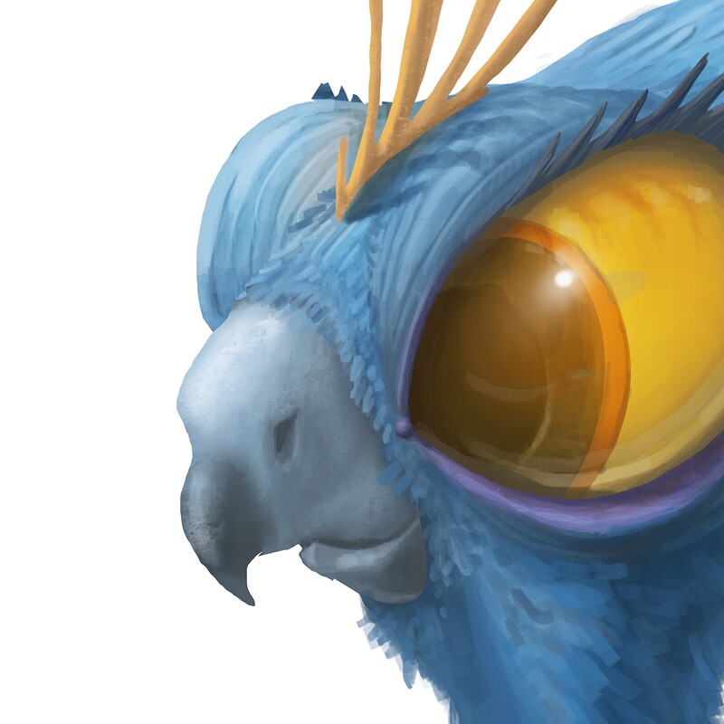 Big eyes bird