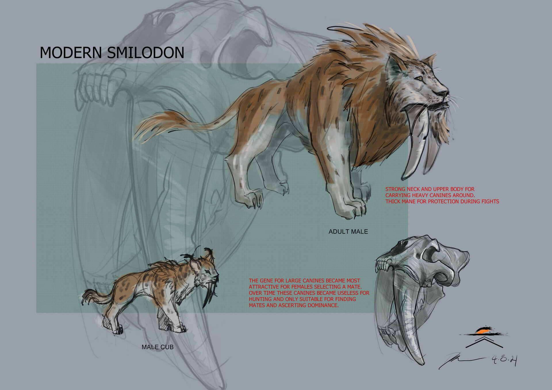 Daniel Kibble Modern Smilodon