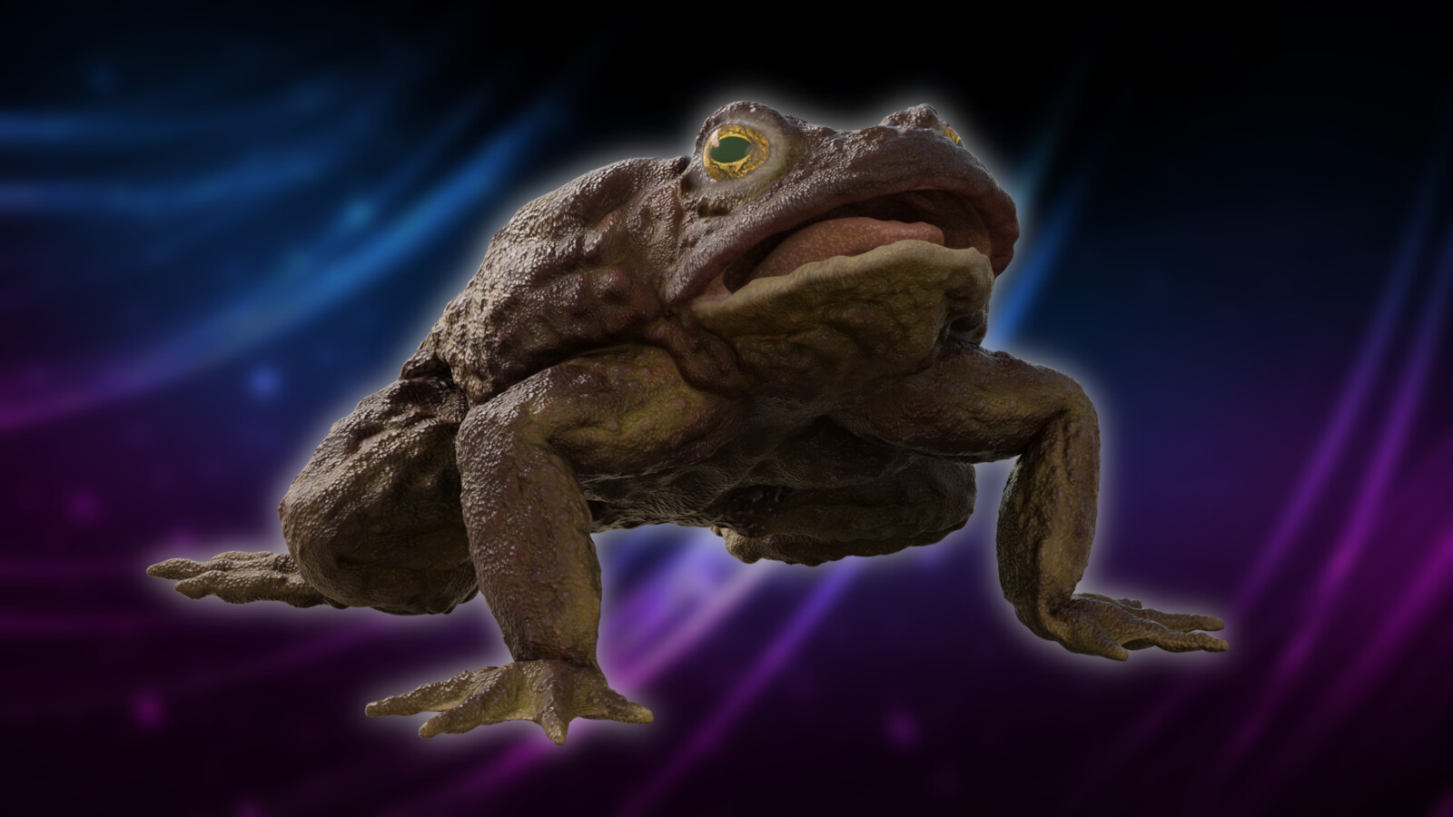 Toad