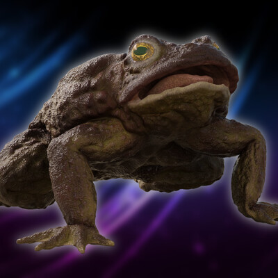 Igor yakovlev toad2