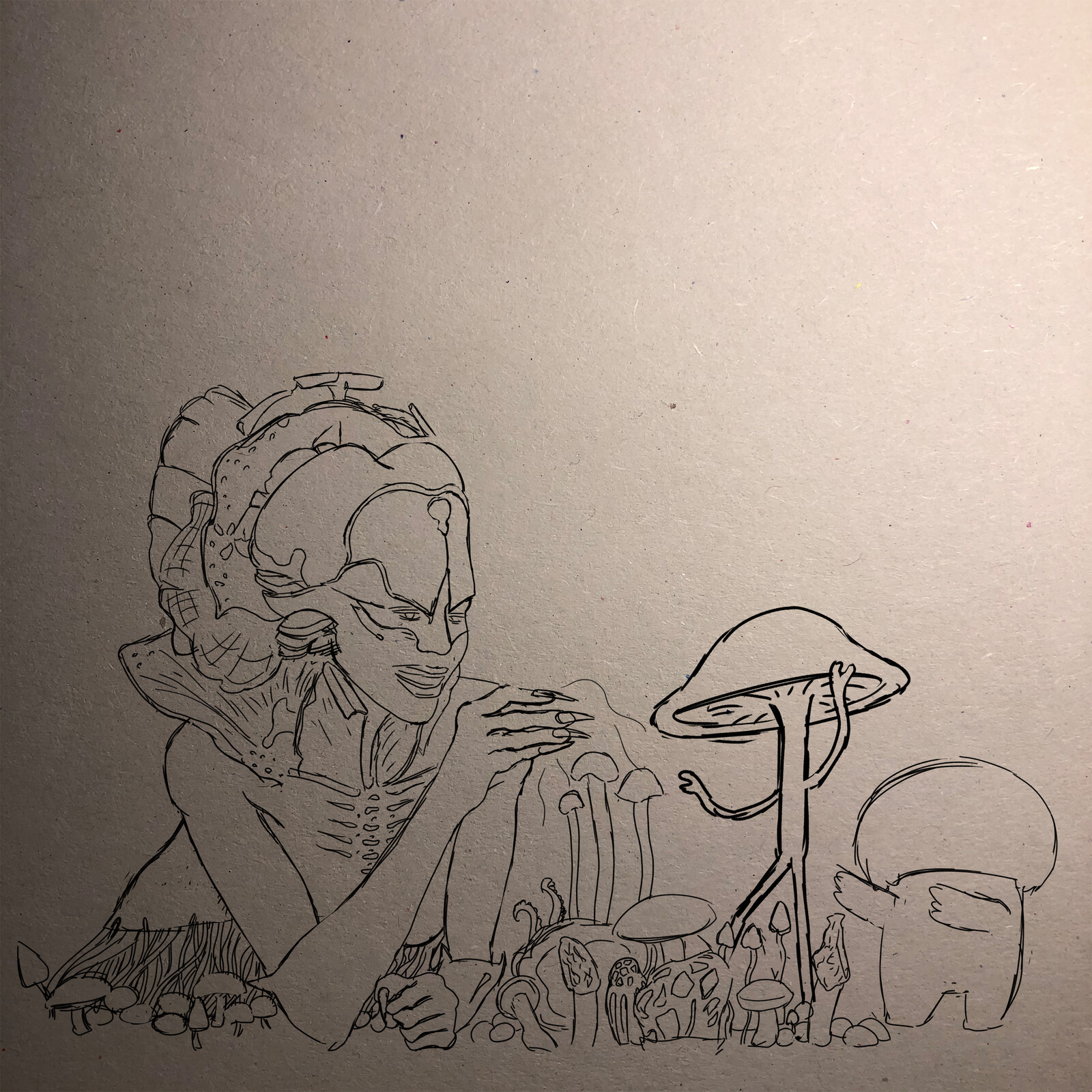 Sketch