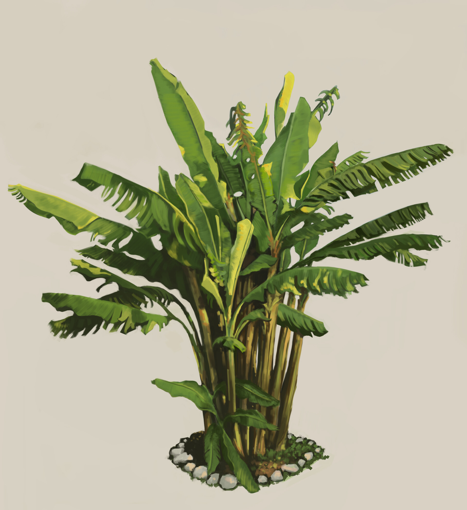 ArtStation Banana tree digital painting study
