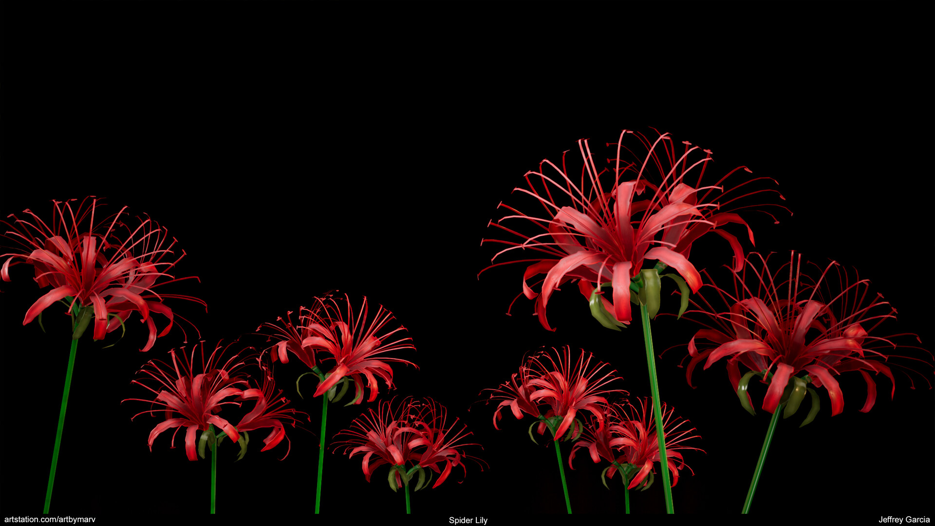 Artstation Spider Lily Jeffrey Garcia