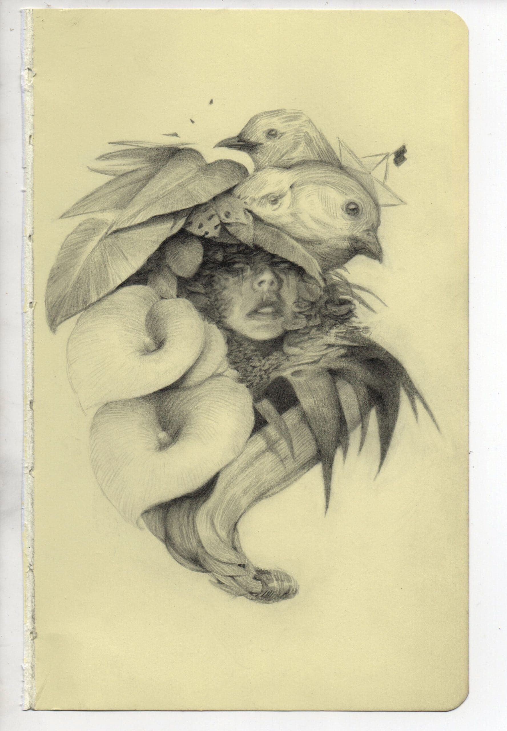 Sketchbook 1