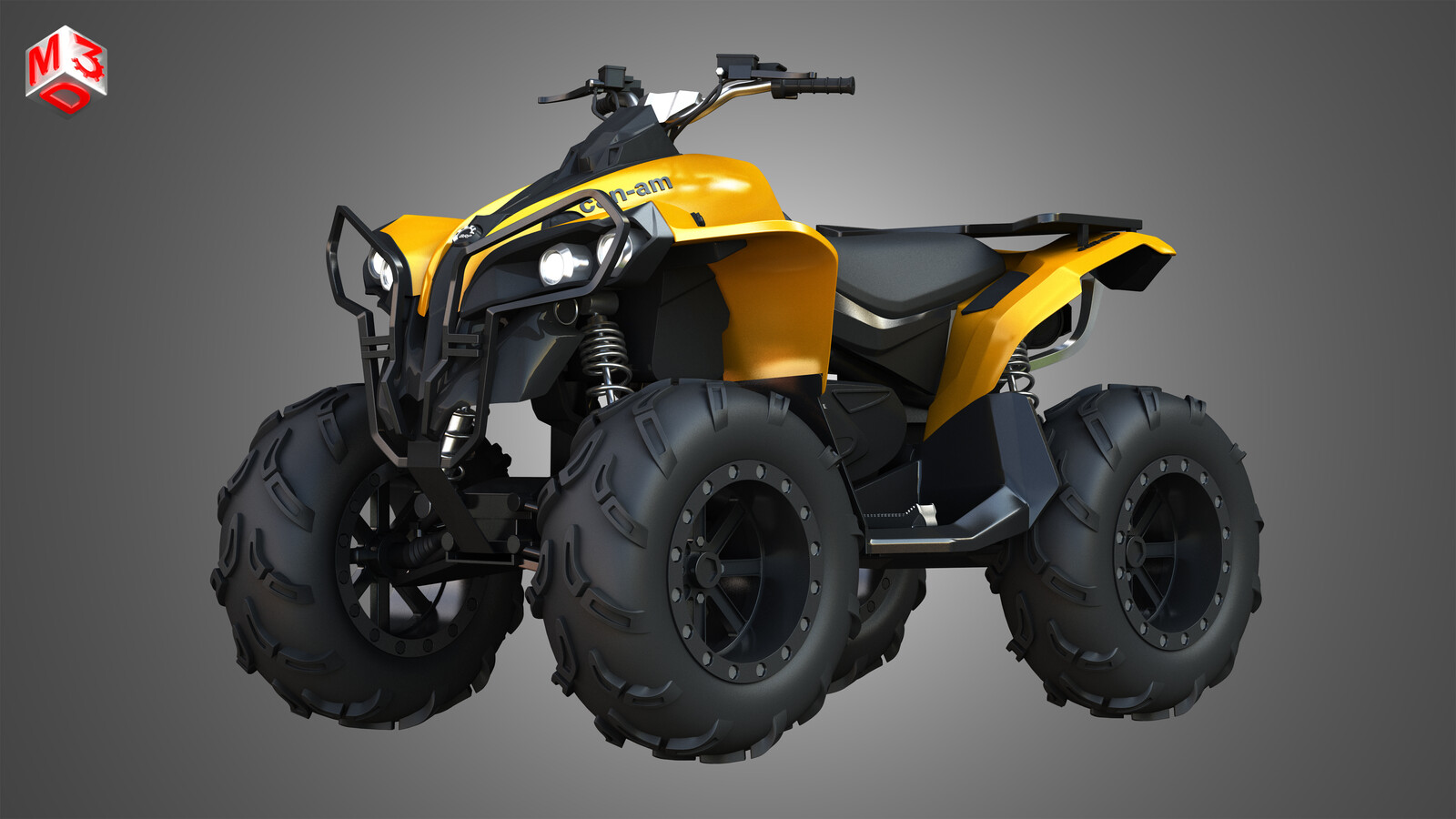 Can AM Renegade Fender 2014