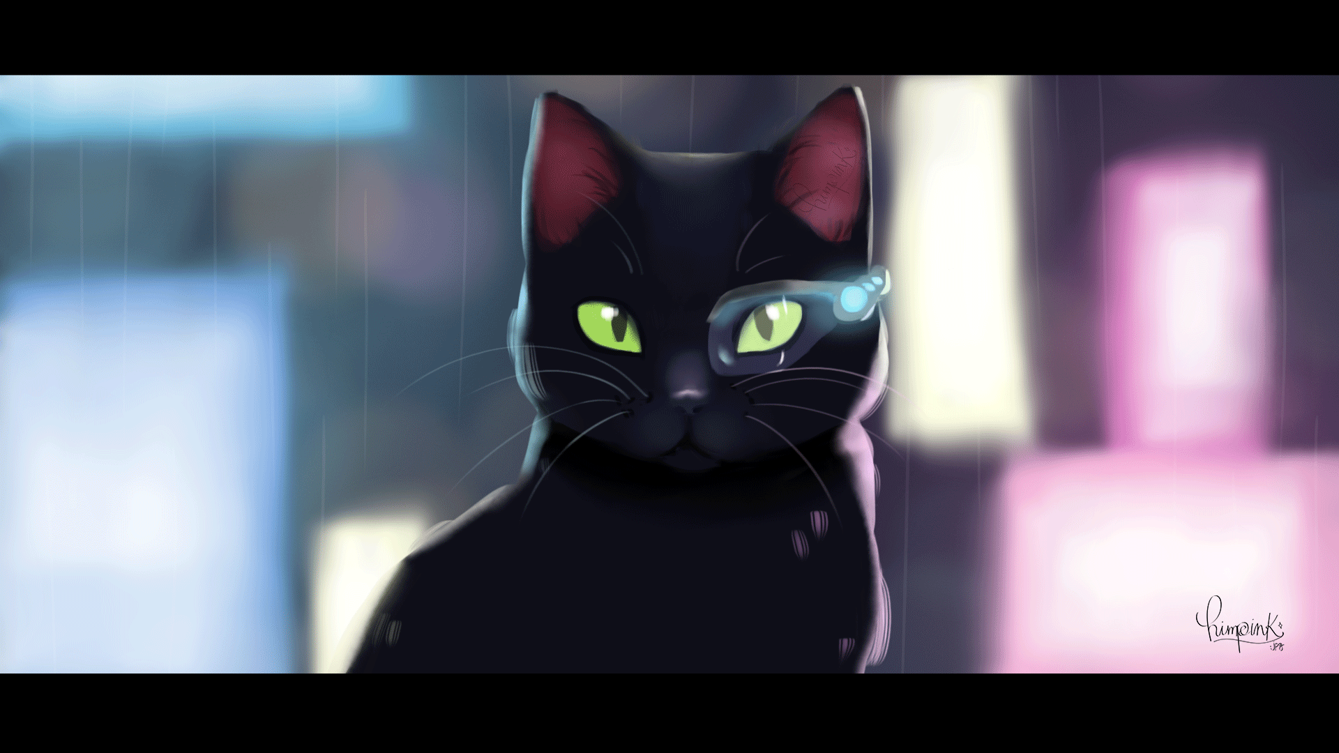 Animated Cat GIF 4