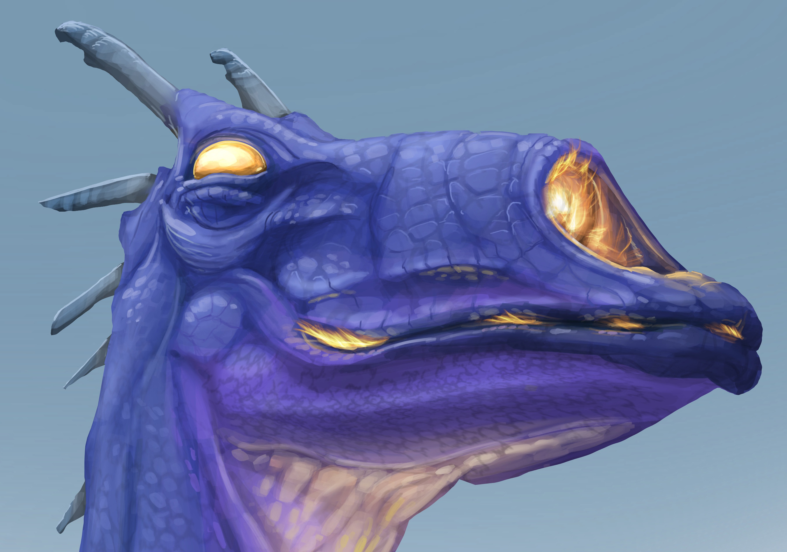 Cannonose Dragon detail