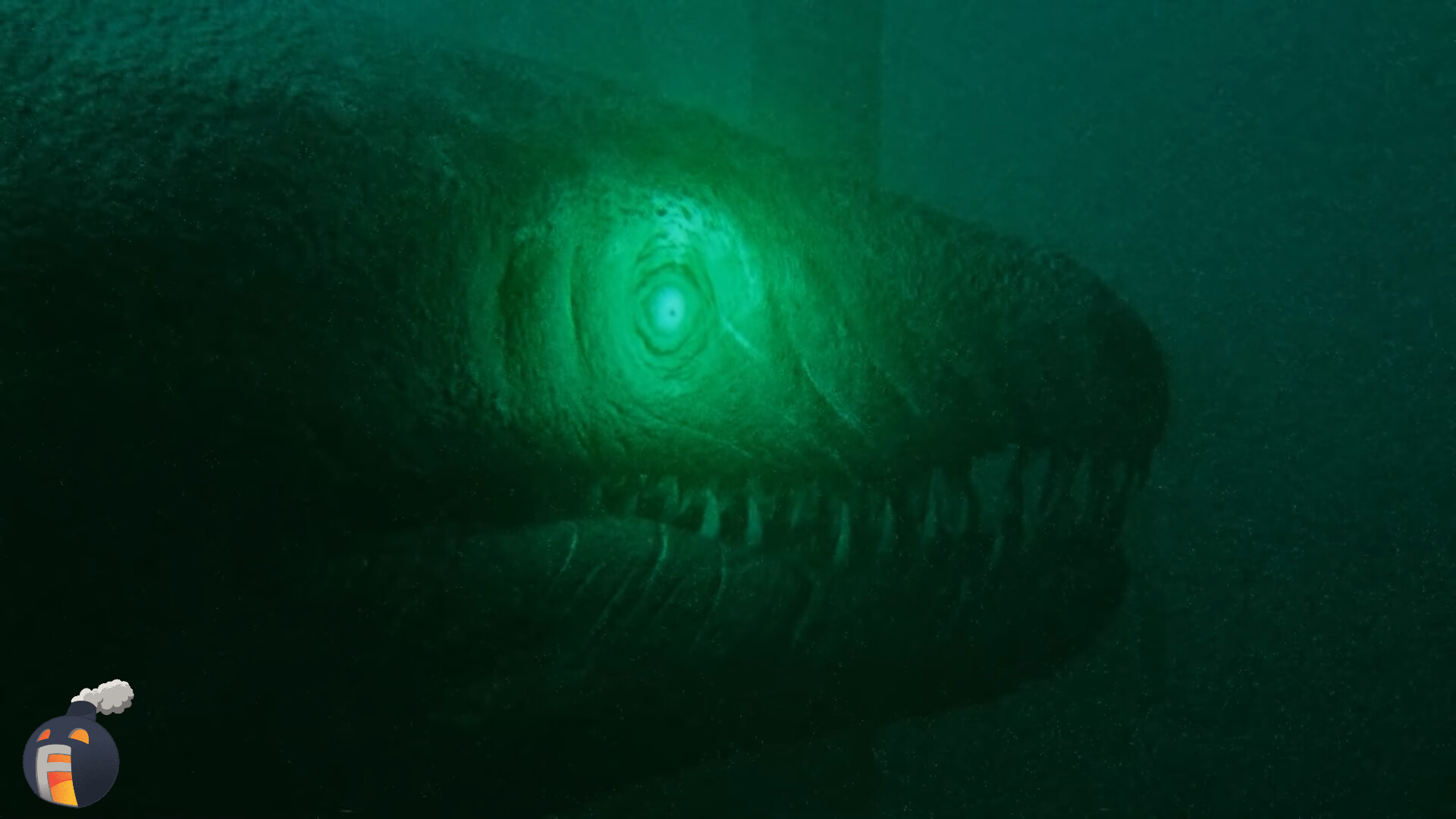 SCP 3000 Anantashesha, Anguilliformes, aquatic animal, video recording, SCP-3000 is a massive, aquatic, serpentine entity strongly resembling a  giant moray eel (Gymnothorax javanicus). The full length of SCP 3000 is
