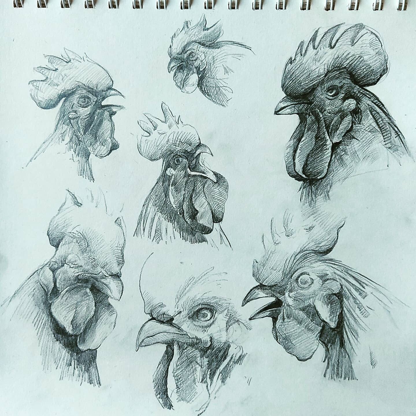 ArtStation - Mr Rooster 🐓