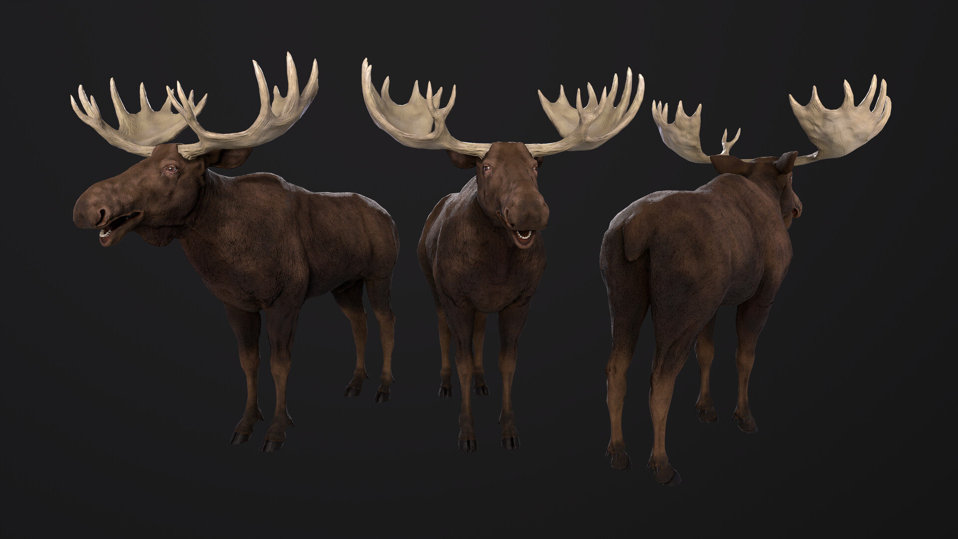 ArtStation 3d animal
