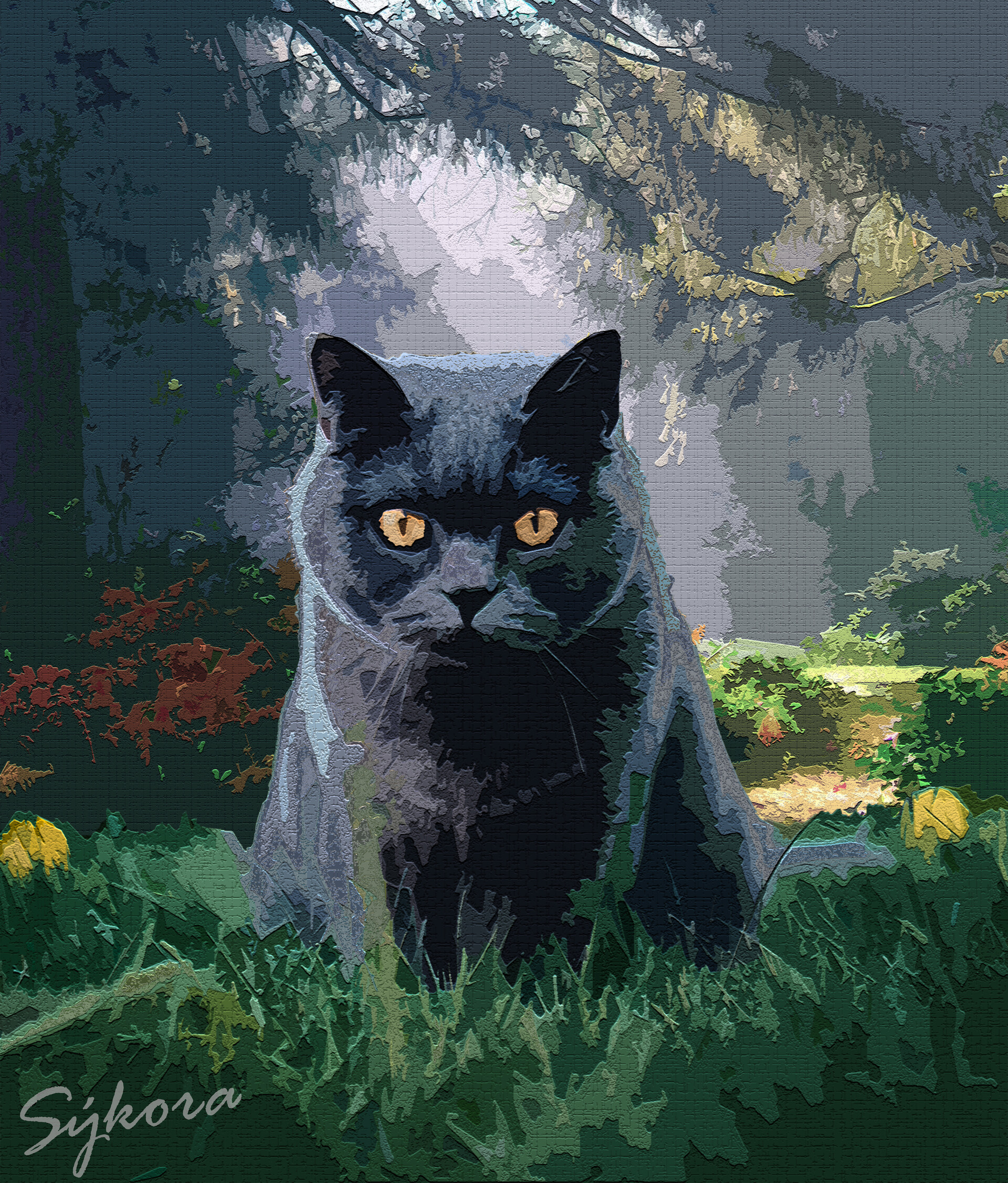 British soul british shop shorthair