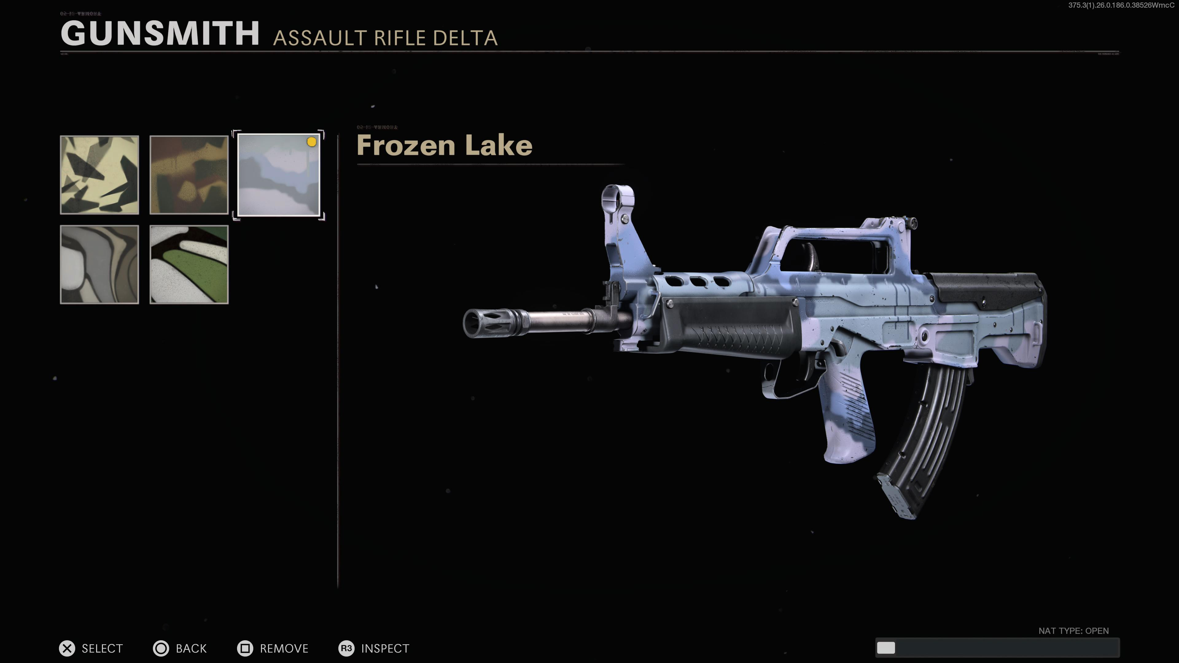 camo customization 