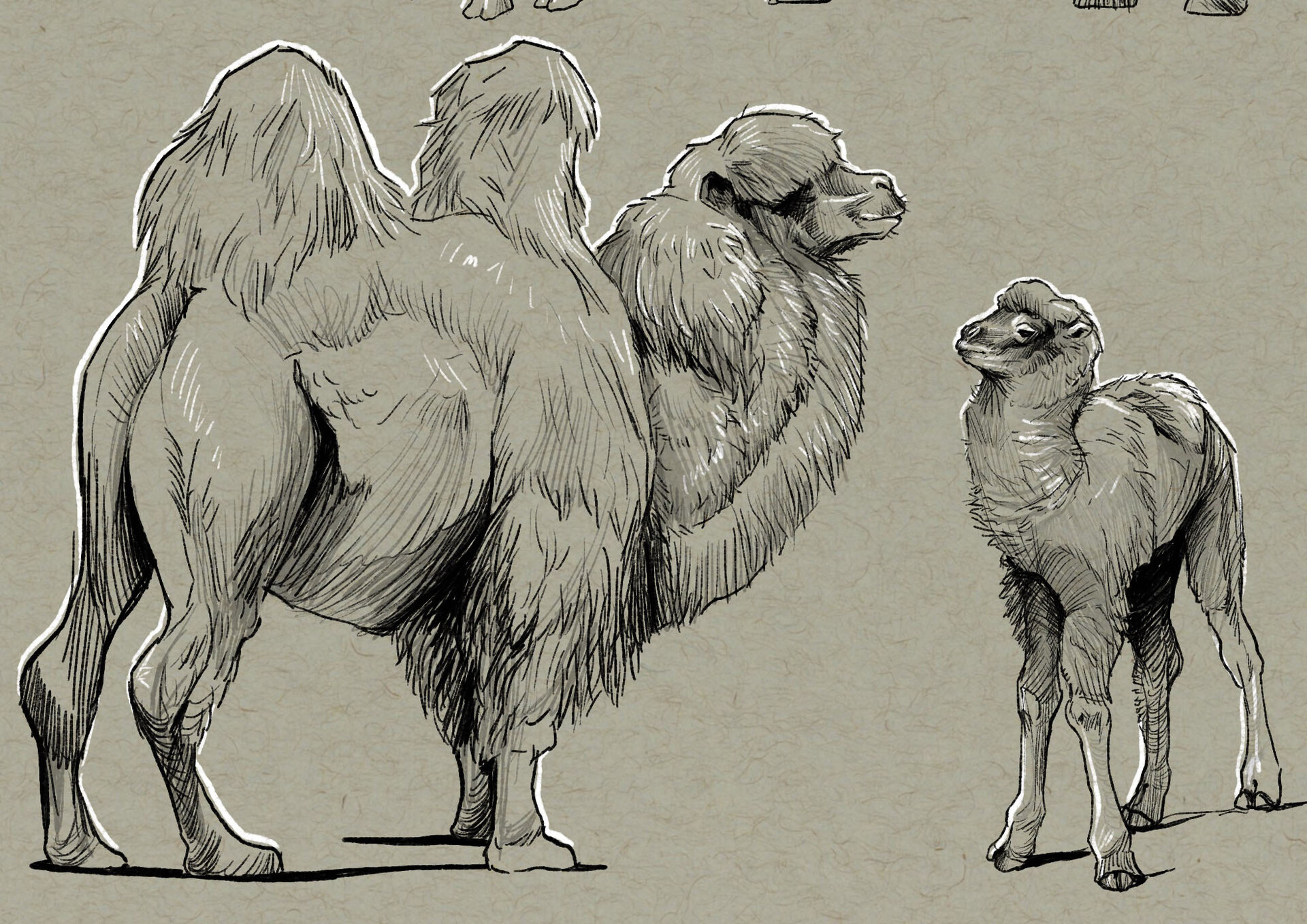 ArtStation - Camels