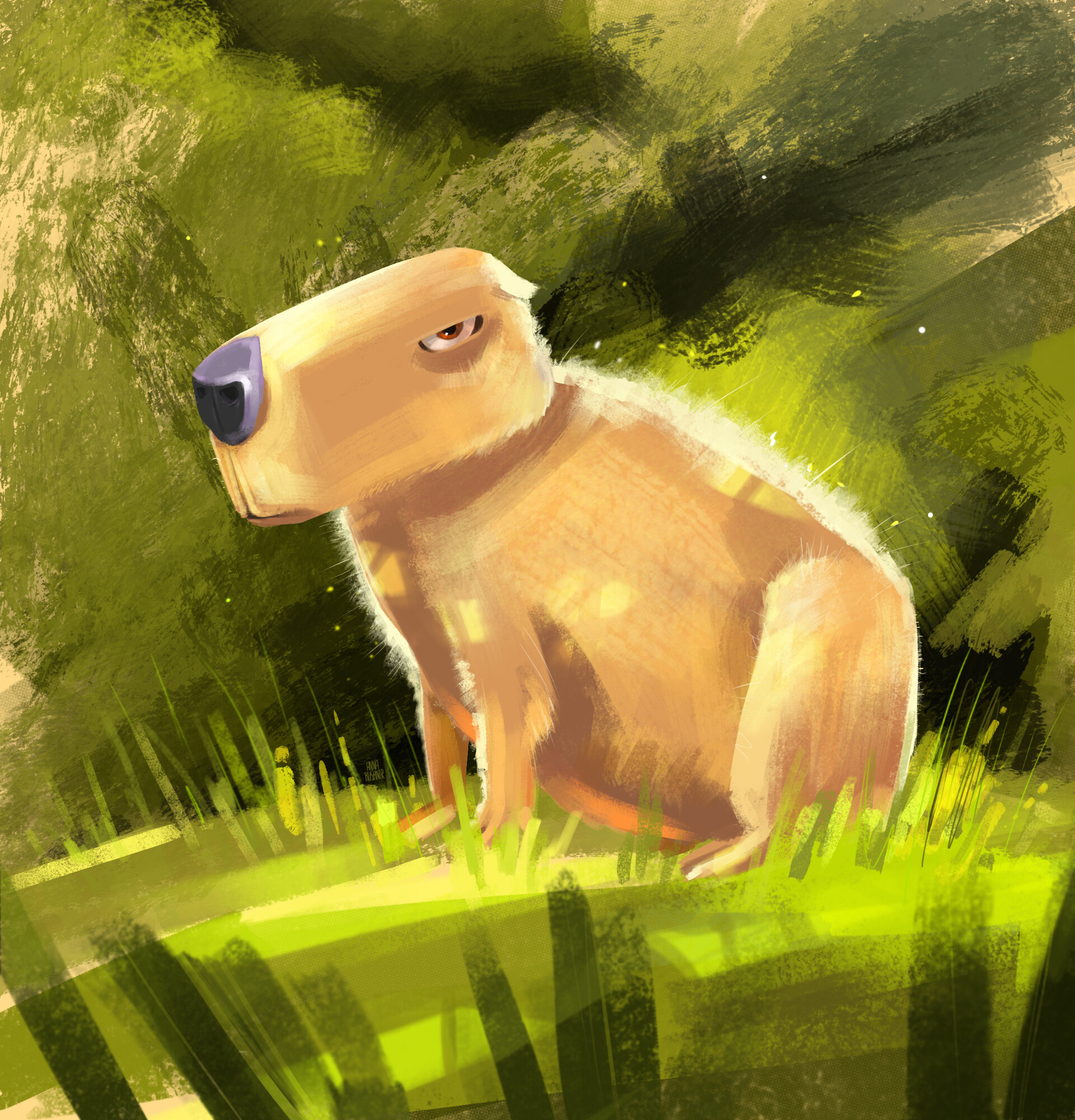 capybara #illustration #art #animals
