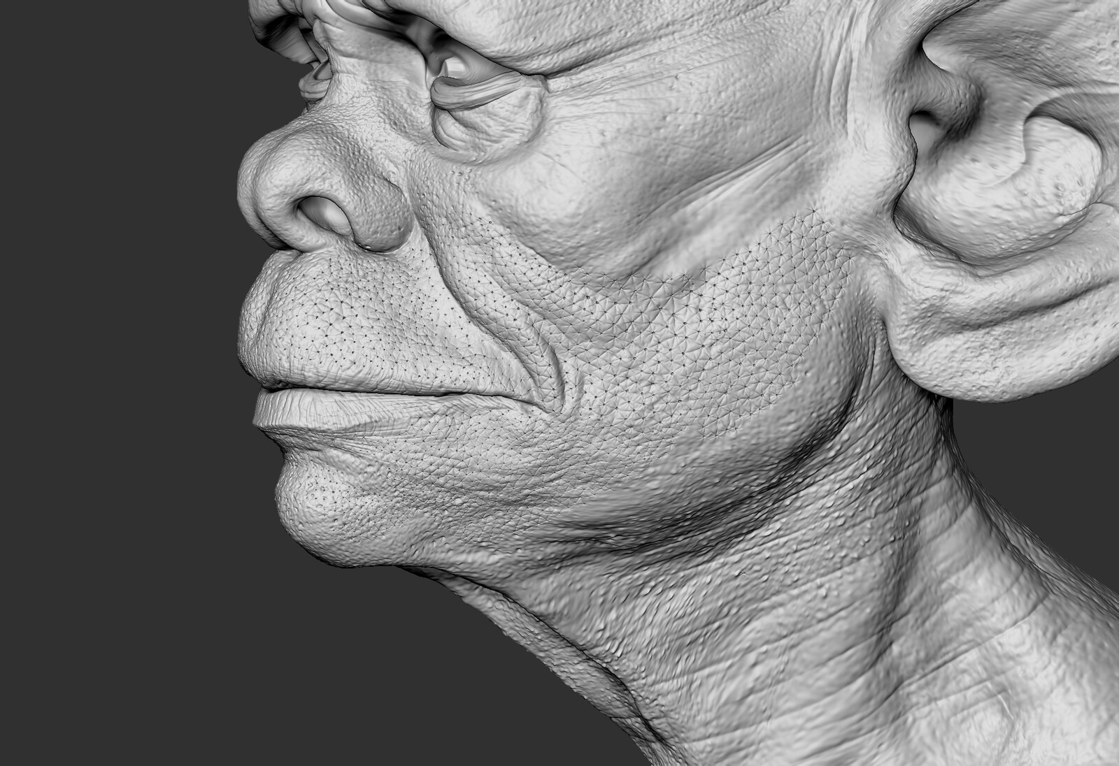 detailing pore by pore manually