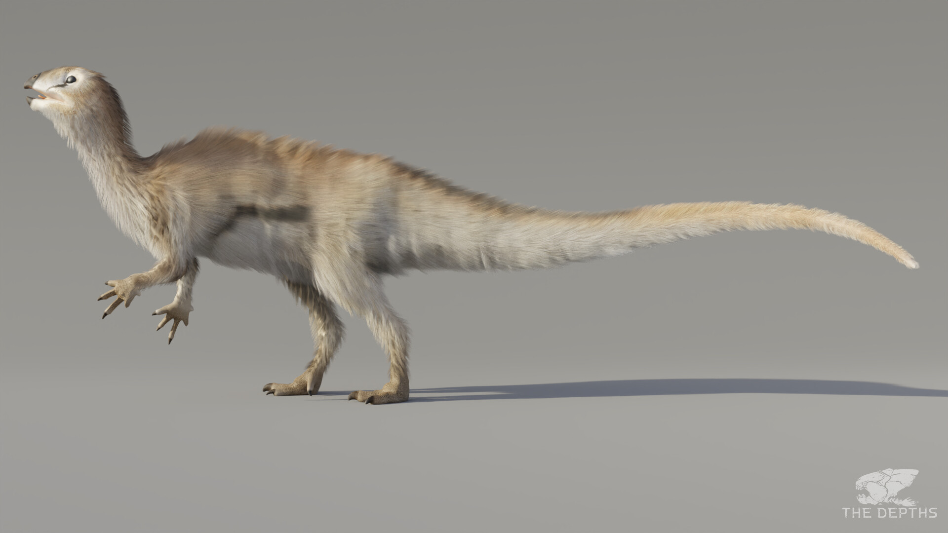 proto feathers