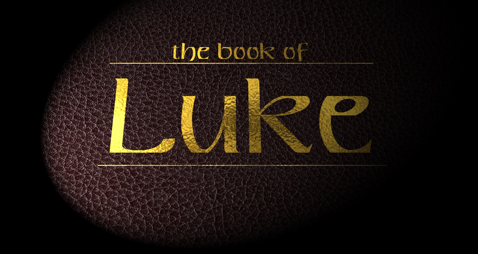 The book of Luke idea using a different tweak.