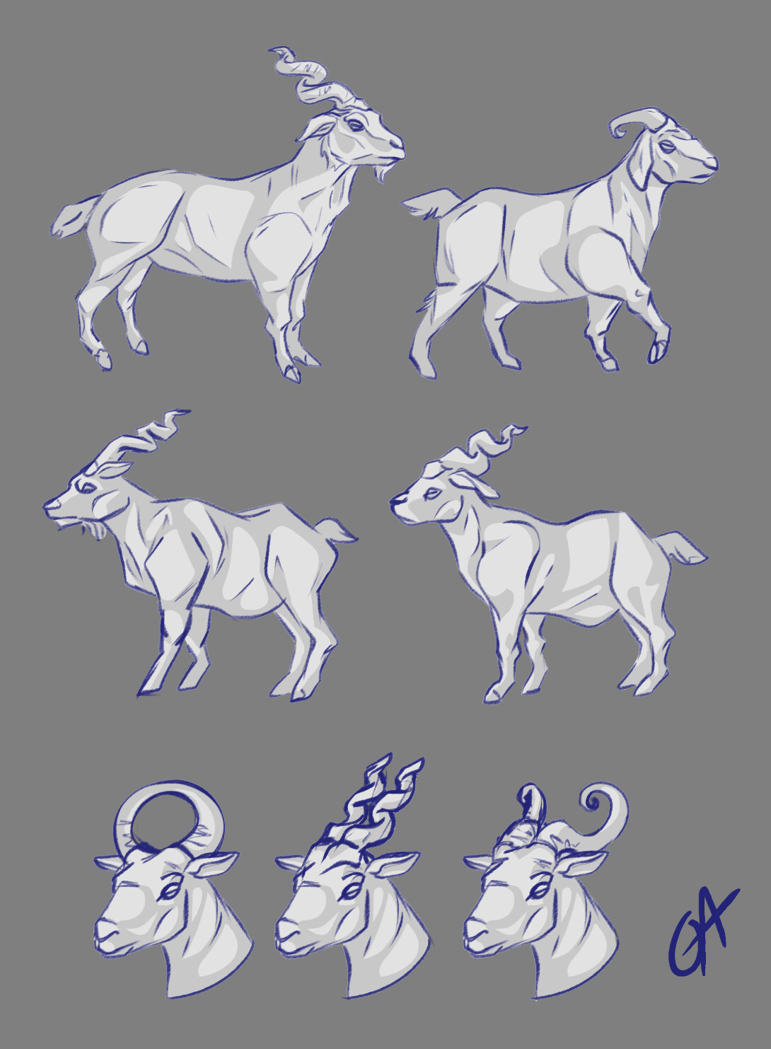 Goat anatomy studies - loosely based on the Bulgarian Screwhorn - weird legs