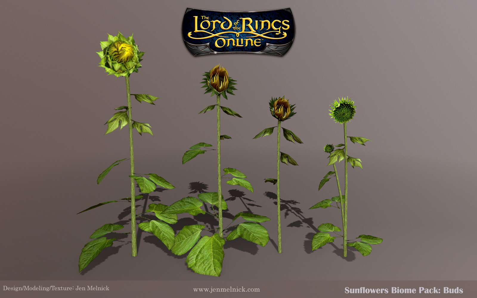 Sunflowers: Four individual bud stalks