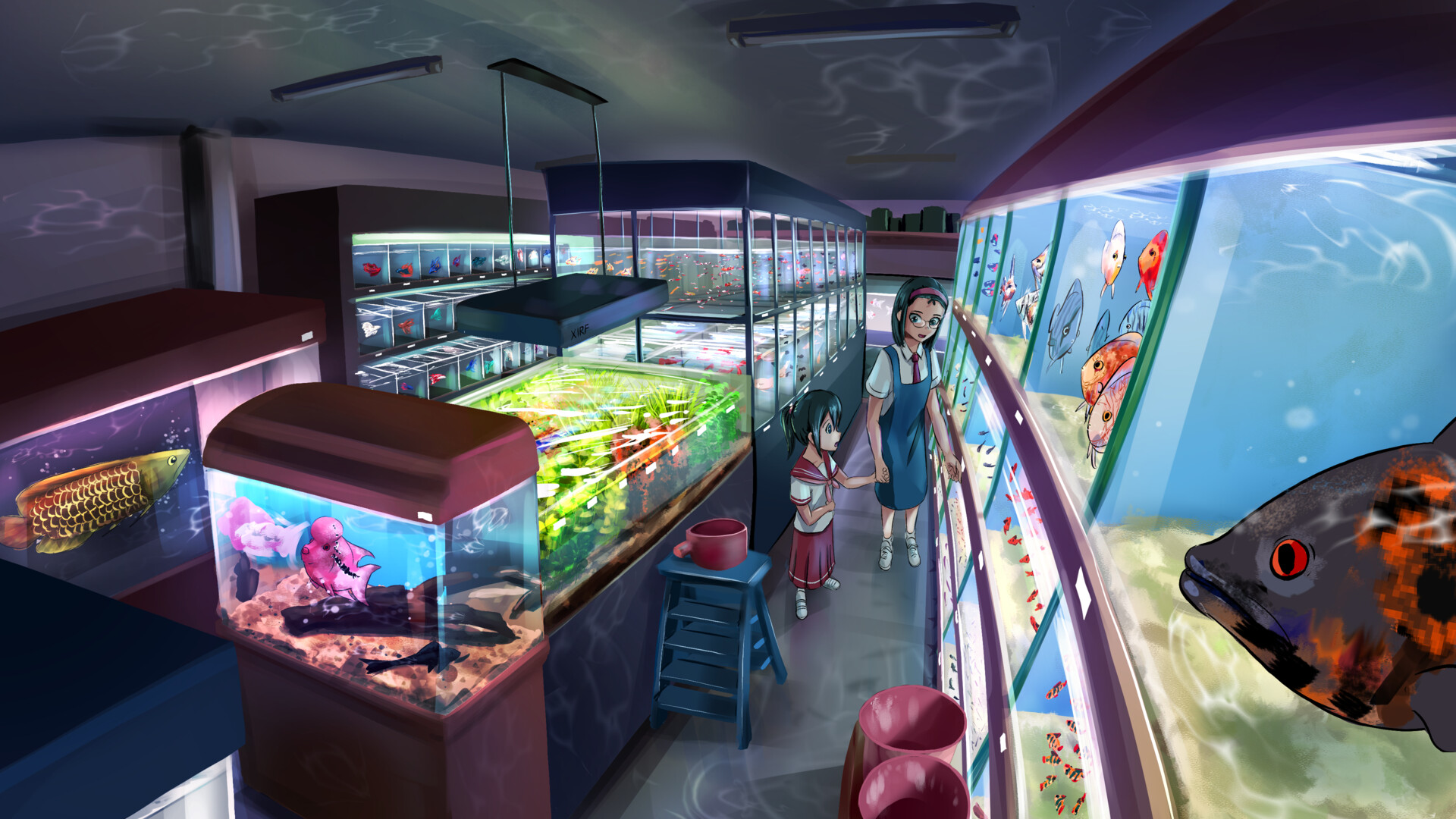 Big fish top stores near me