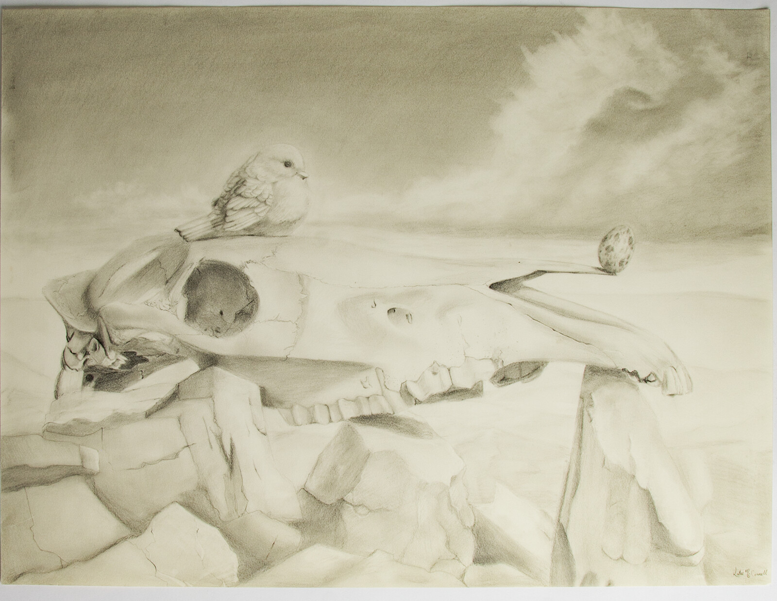 Dystopian Wildlife [ Graphite ]