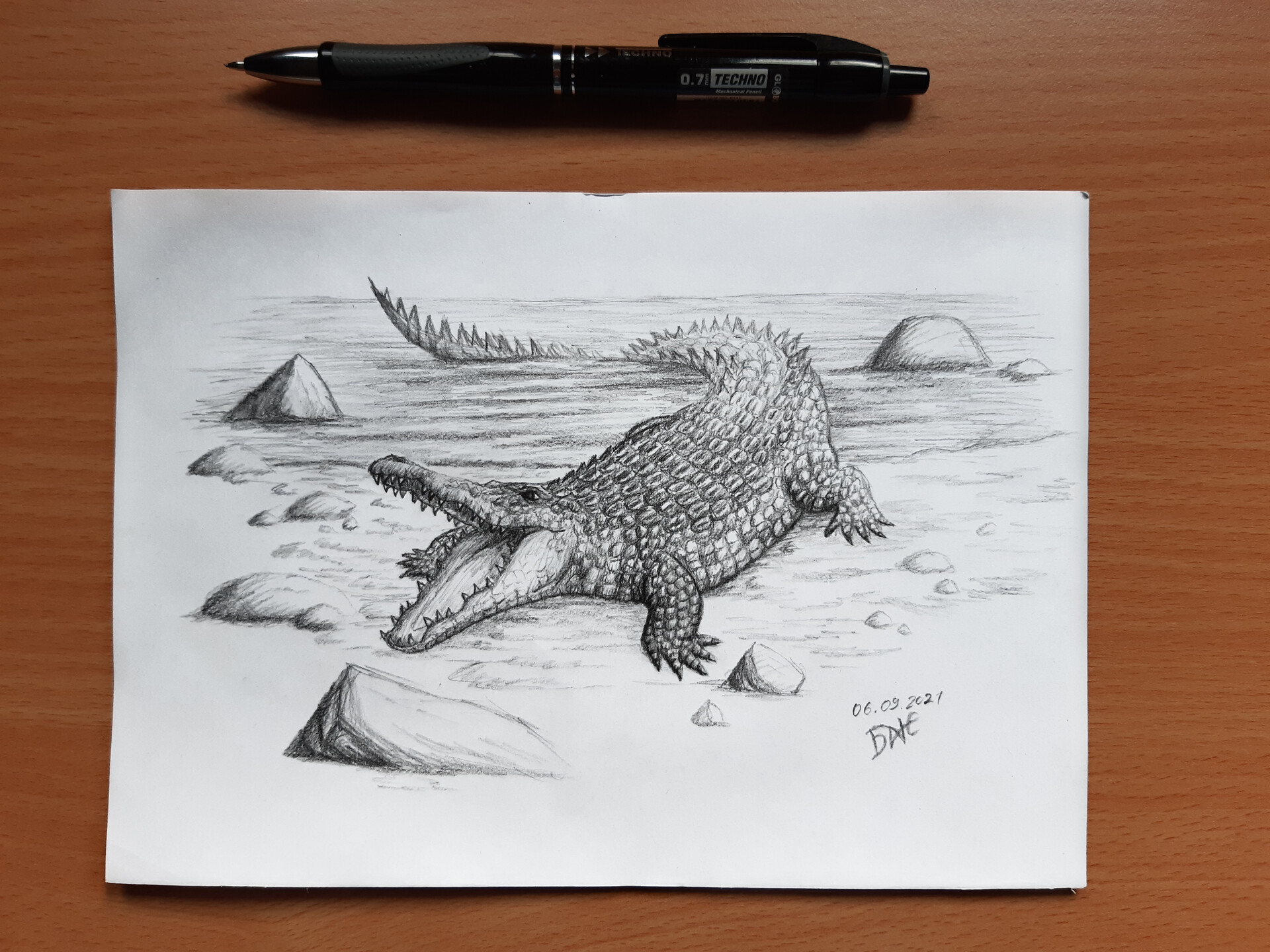 Pencil Drawing : Drawing of a crocodile — Steemit