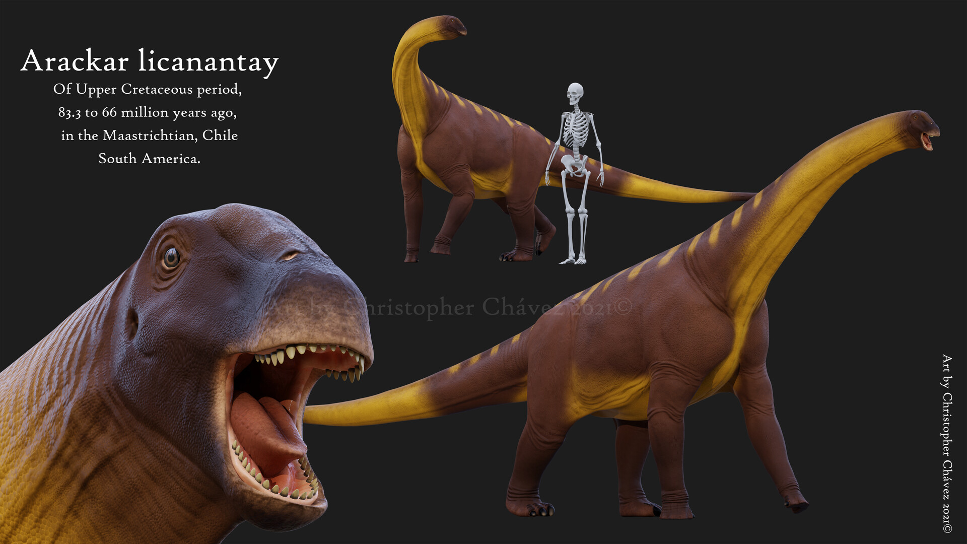 Arackar dinosaur clearance