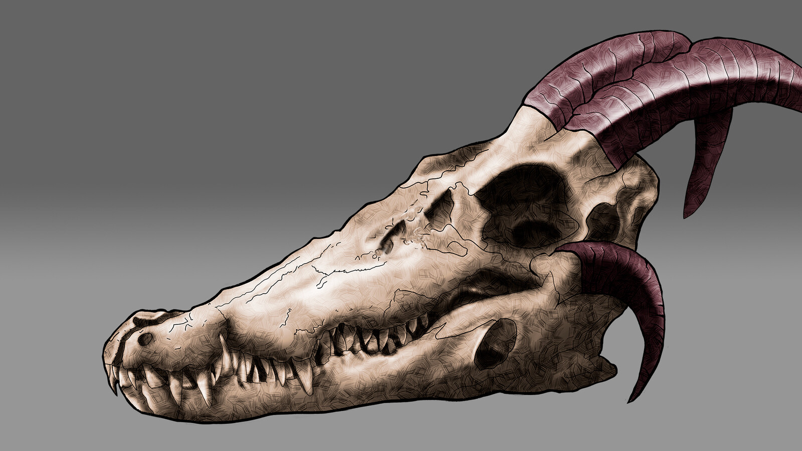 Skull