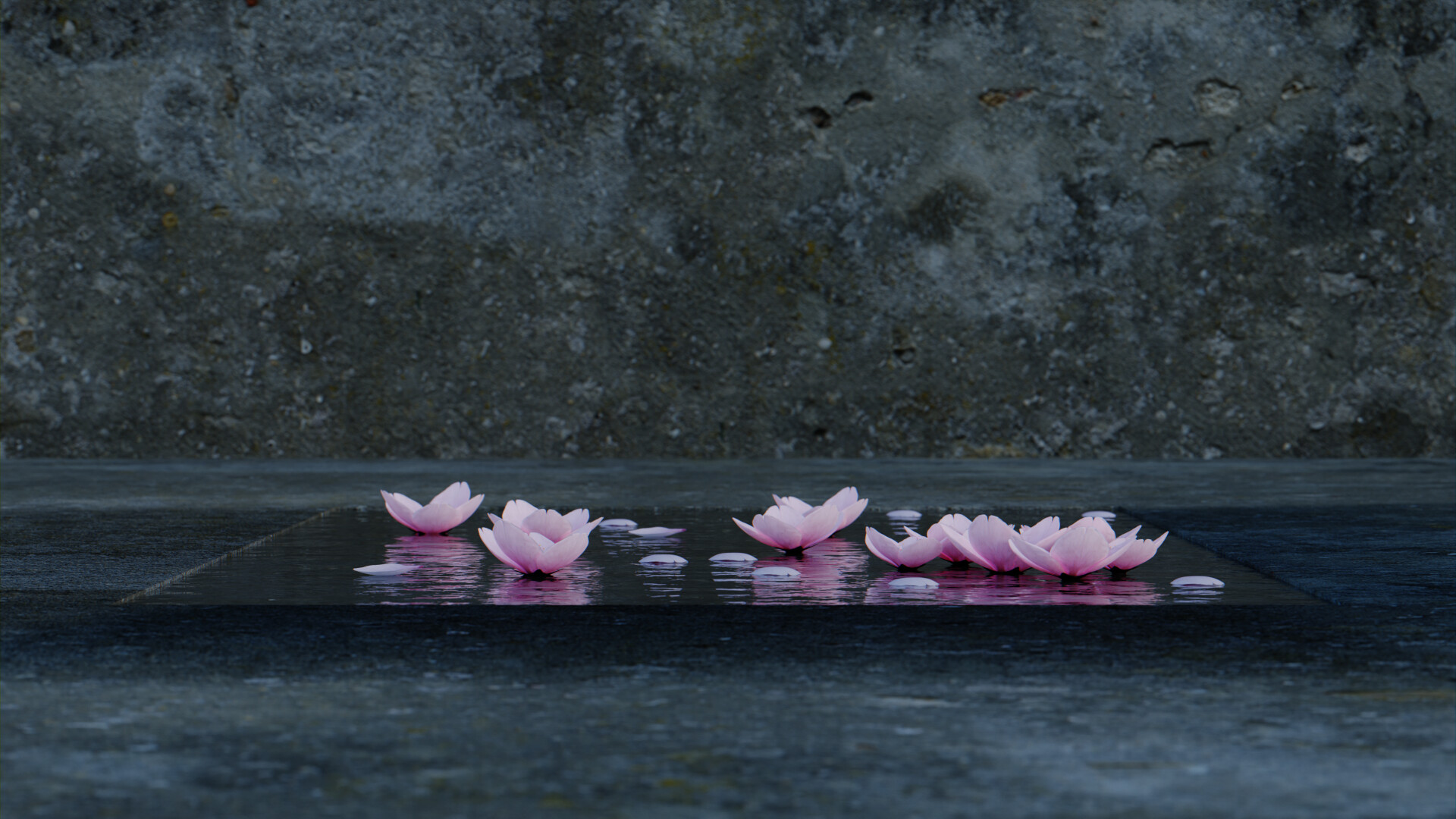 ArtStation - Cherry Blossoms