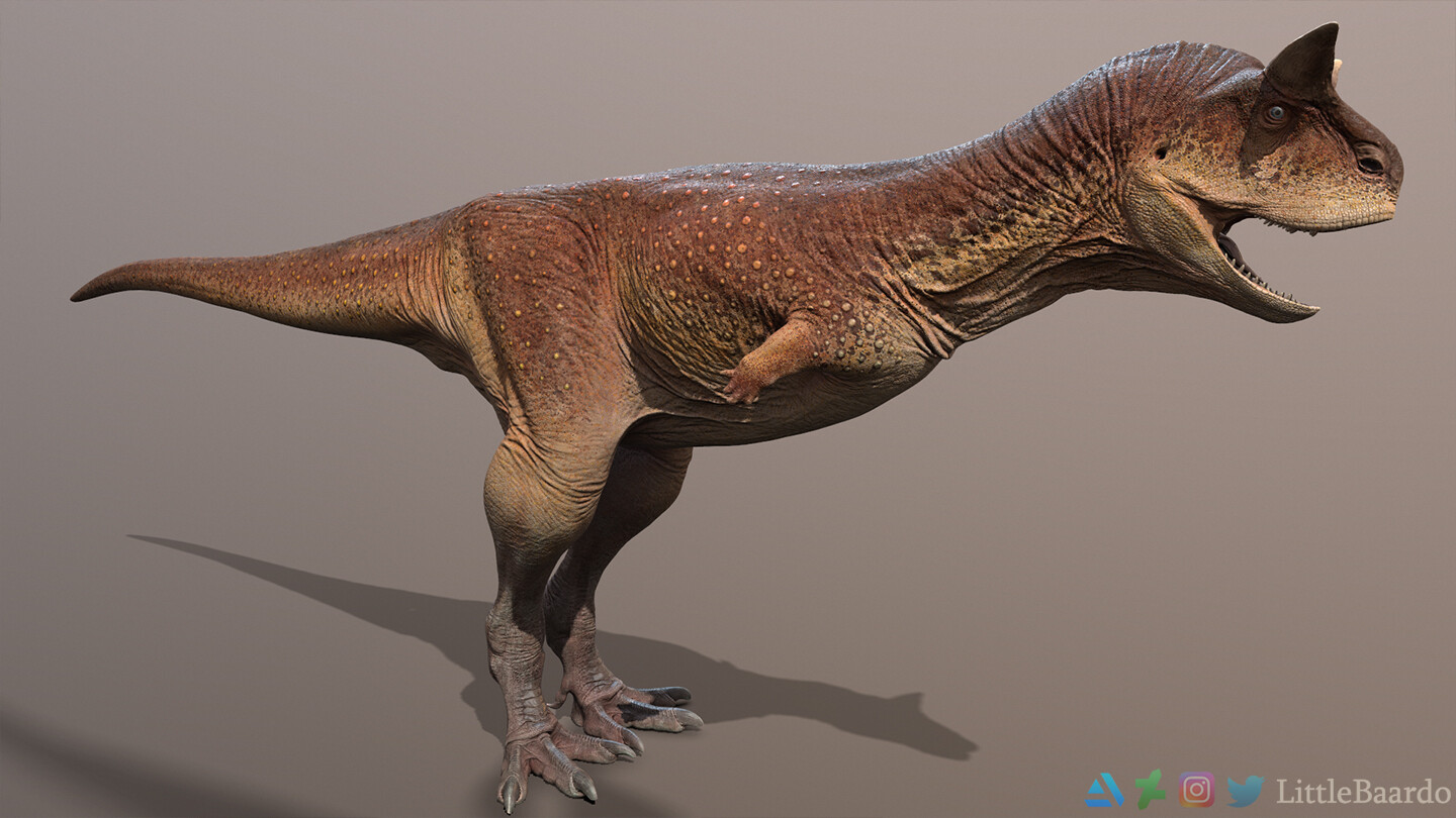 Final textured model
