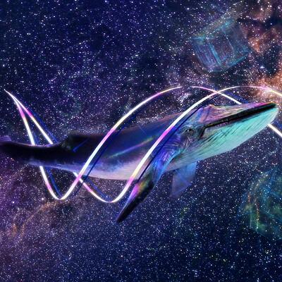 Pawel kozera space whale 2