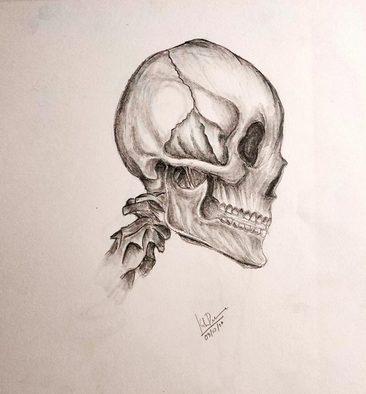 ArtStation - Pencil Sketch - Skull