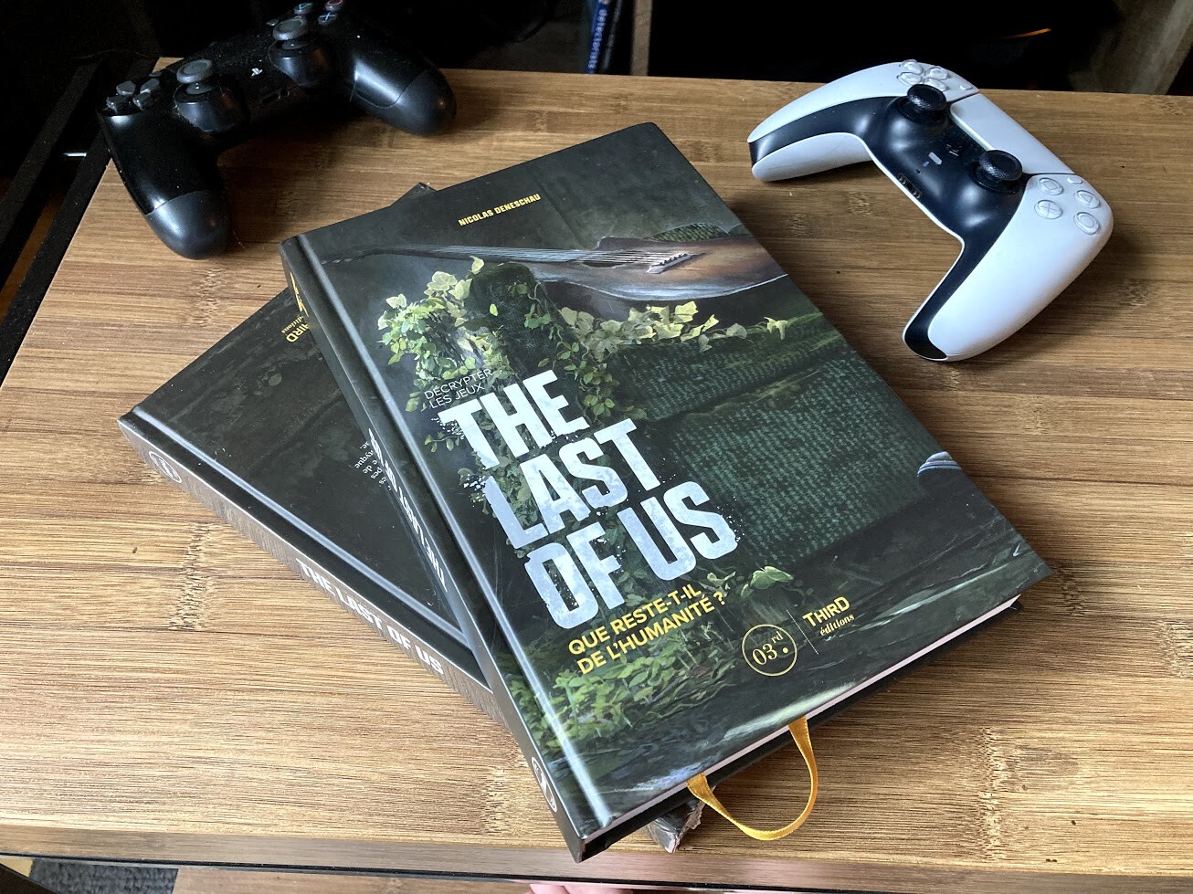 ArtStation - The Last Of Us Part 2 main menu - fanart