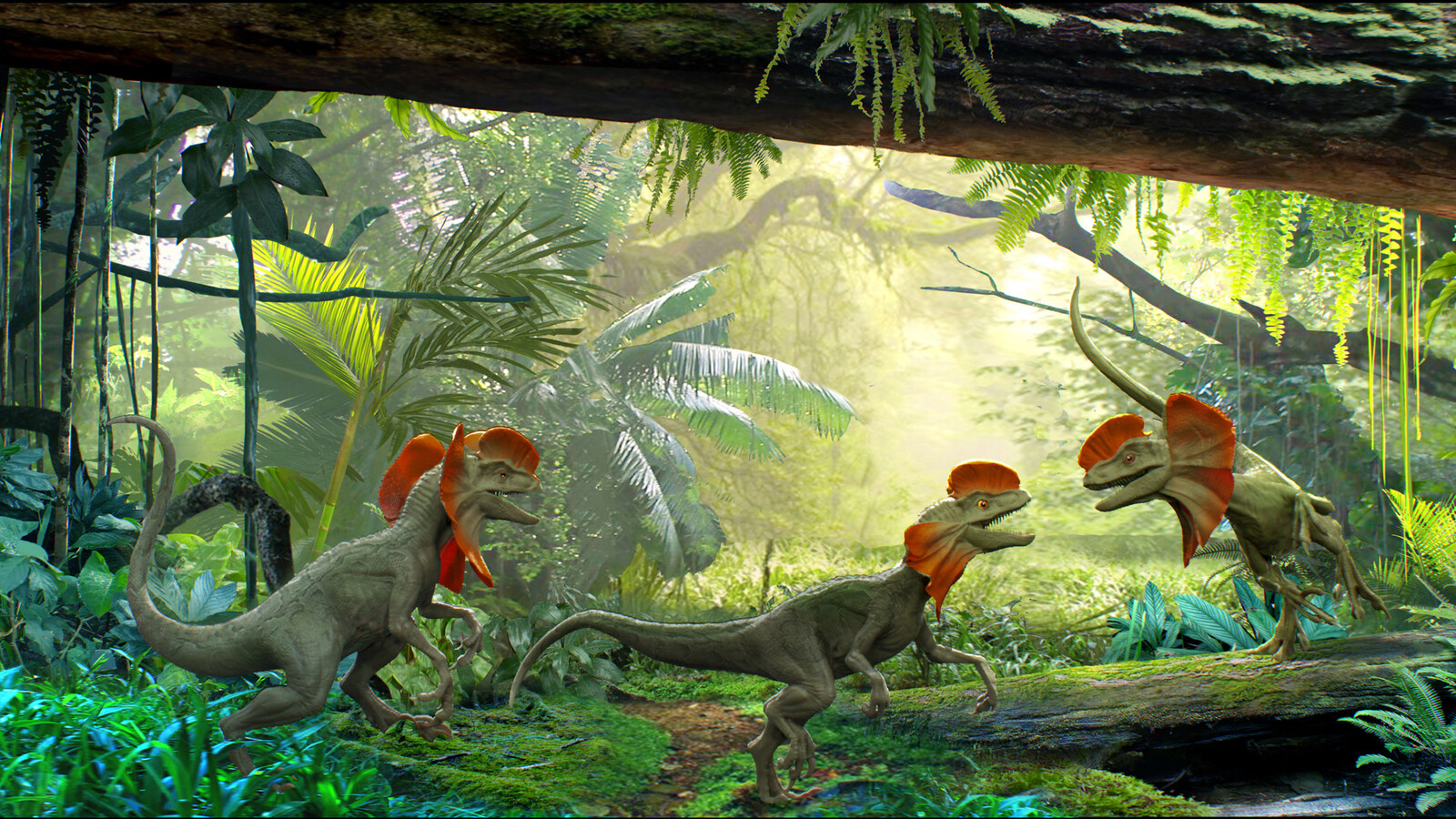 Dioramas