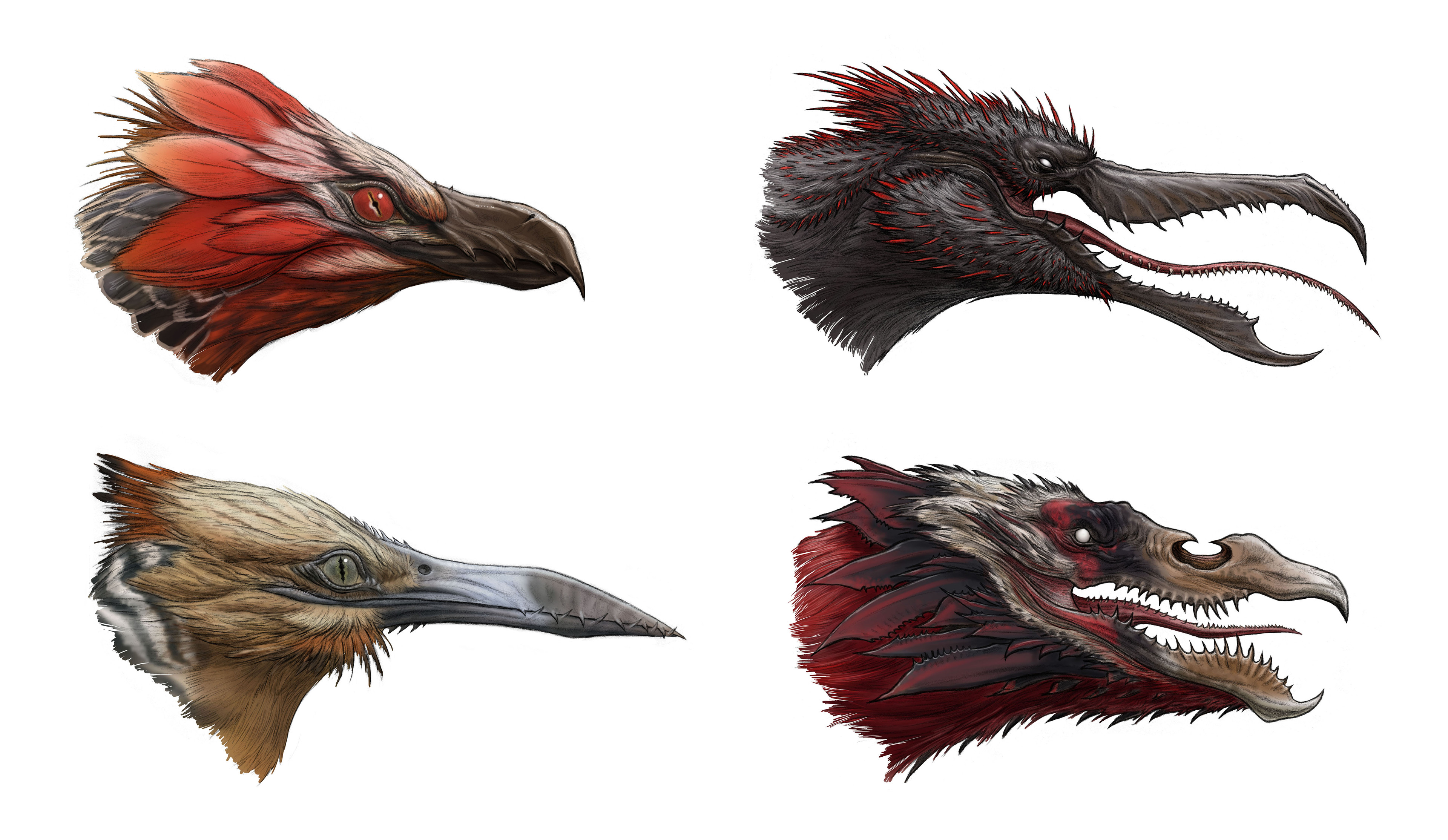 Razorwing head variations for different climates