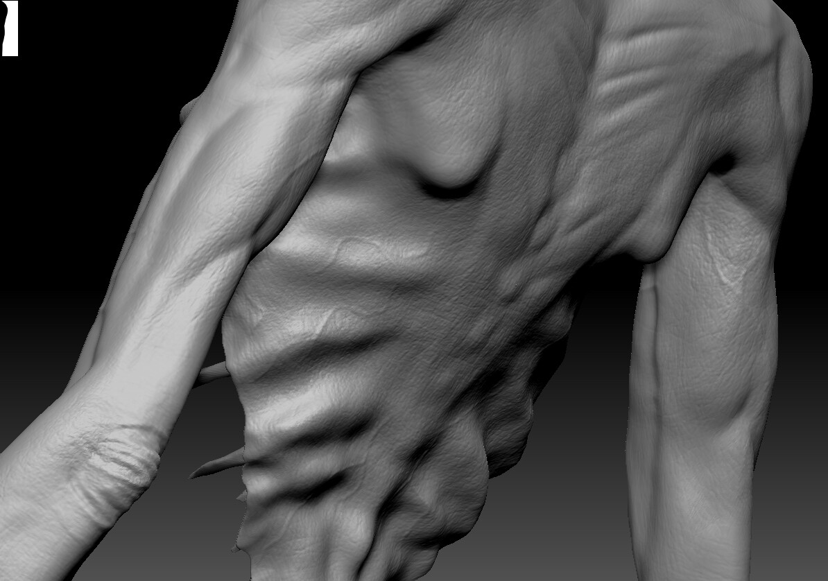 Skin (Zbrush)