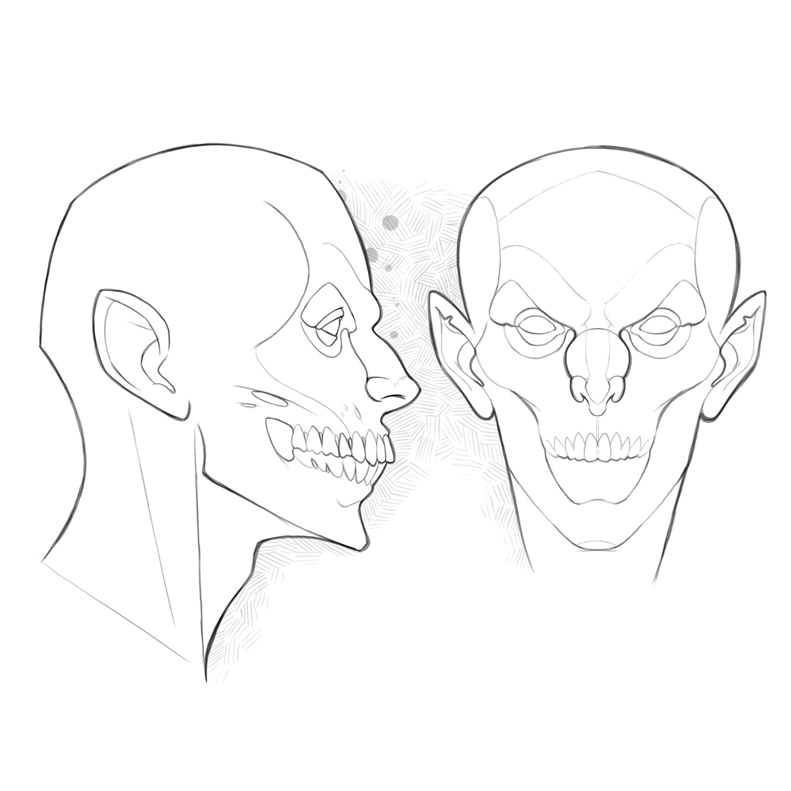 Drawing a modeling sheet. 