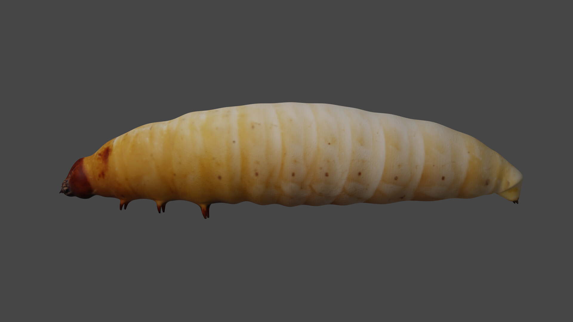 TT_Art - Modelling: Maggot (December 2020)