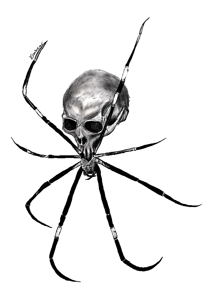 ArtStation - Spider Skull