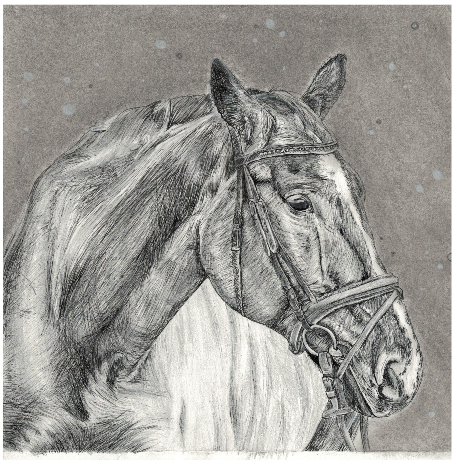 Stipple drawing of horse - Zian Studio - Drawings & Illustration, Animals,  Birds, & Fish, Horses - ArtPal