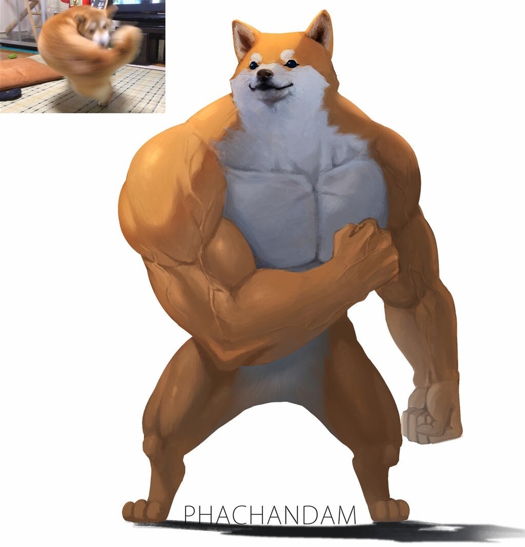 Мем кот качок