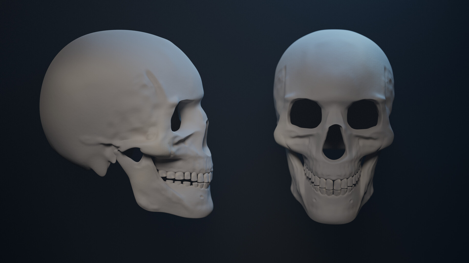 Chris Robbins - Human Skeleton High Poly Sculpt