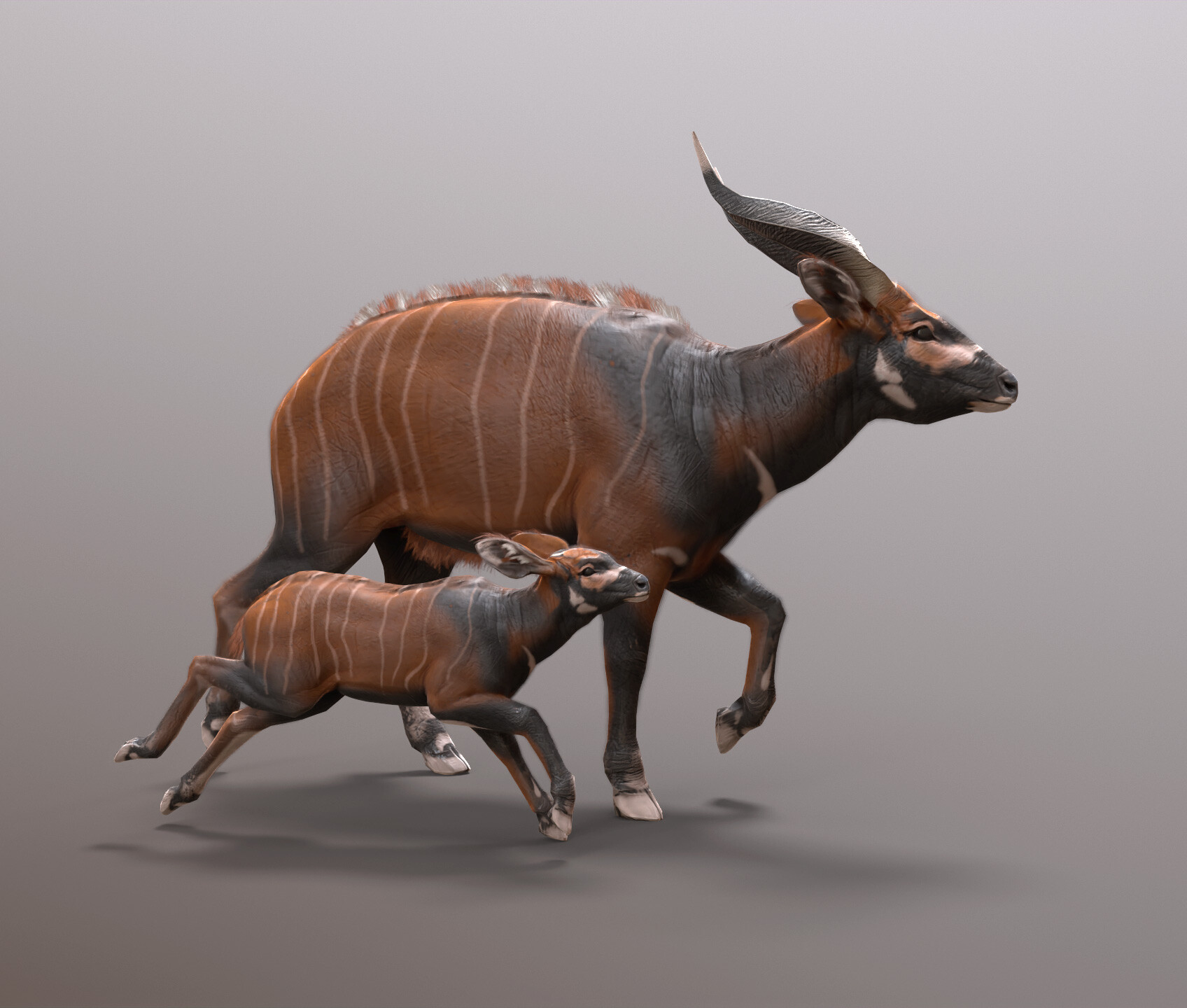 ArtStation - Bongo Antelope and Baby Study