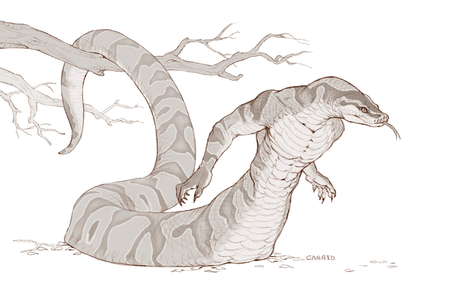 Day 14: Slither