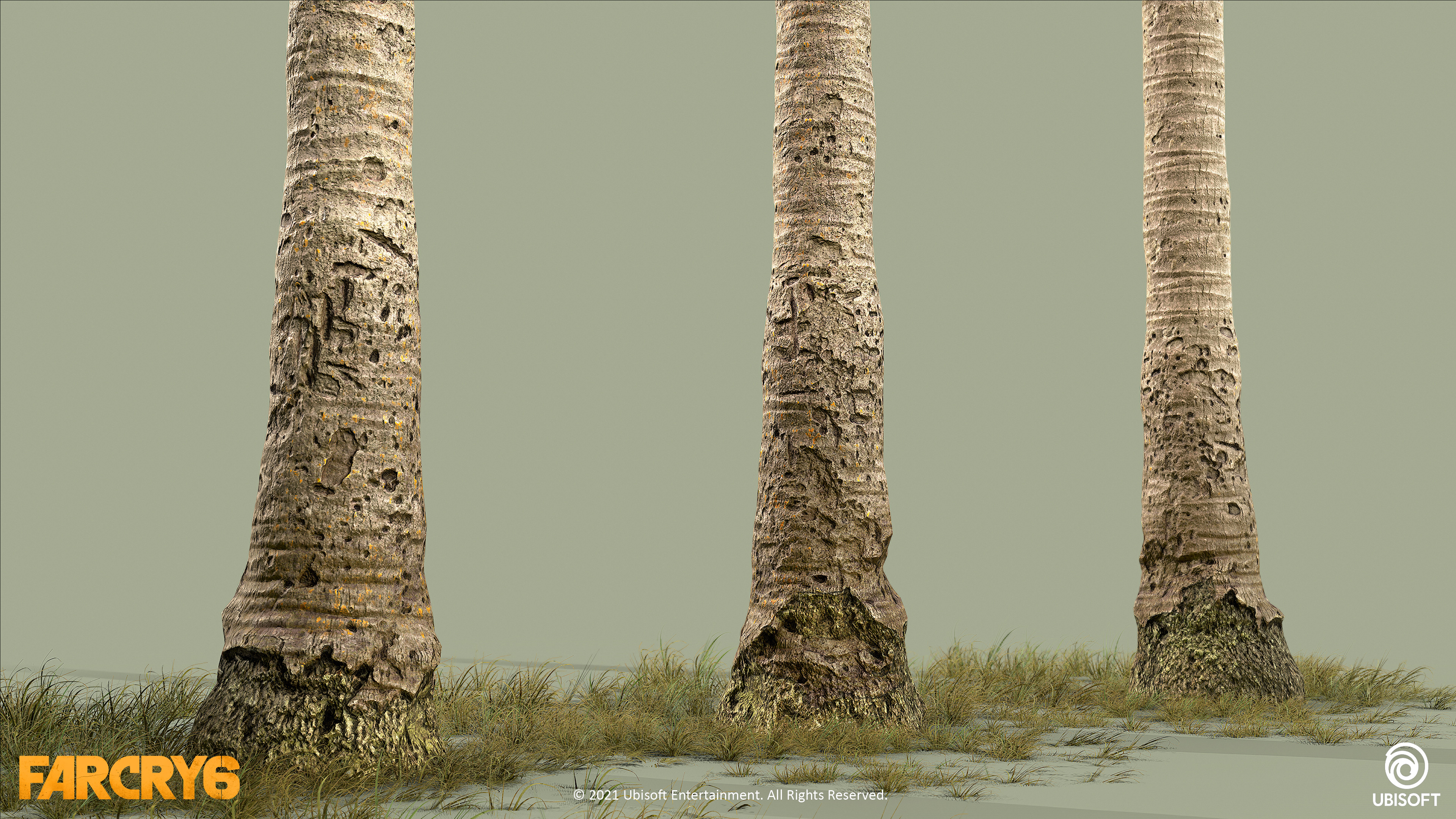 Game res model and texture. All trunk textures in the game have both roots and tiling section packed within the same texture sheet.